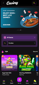 Unlocking Rewards The Ultimate Guide to the Casiny No Deposit Bonus